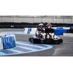 60 - 70km/h Adult Electrical Go Kart With APP Adjustment Control