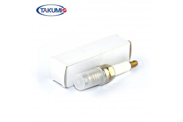 Natural Gasoline Generator Spark Plug , RC78PYP Gas Engine Spark Plug J Electrode