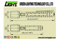 China PC IP68 1300lum 25000lux 10W Explosion Proof Torches supplier
