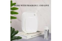 China HOMEFISH OEM ODM Waterless Aromatherapy Air Diffuser Commercial 500-1000CBM supplier