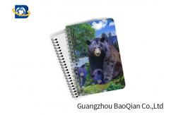 China Customized PET 3D Lenticular Ruler Stationery , Lenticular Printing Service supplier