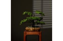China OEM High Imitation Artificial Landscape Trees For Airports supplier