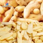 Commercial Cucumber Fruit Bulb Root Vegetable Cutting Machine