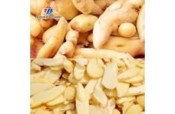 China Commercial Cucumber Fruit Bulb Root Vegetable Cutting Machine supplier