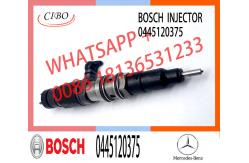 China Diesel Injector 0445120374 0445120375 4700700287 A4700700287 0445120374 0445120375 0445120298 0445120299 supplier