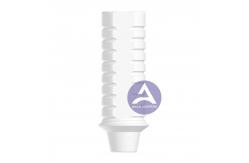 China All Plastic Castable Abutment supplier
