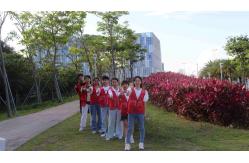 China Dental PFM Crown manufacturer