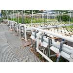 Auto Circulation PH Stable Dwc Grow System Deep Water Hydroponics for sale