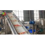 1000kg/H Apple Input Juice Fruit Puree Processing Line Automatic Operation for sale