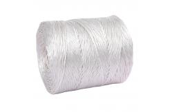 China Polypropylene Fibrillated Tomato Tying Twine For Garden supplier
