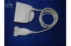 China 12 MHz Linear Array Transducer Ultrasound , L12 5  Ultrasound Probe supplier