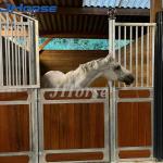 Welded Weave Horse Stall Fronts Custom With Roof for sale