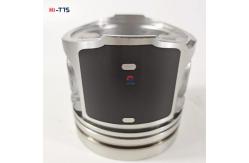 China Standard Size Diesel Engine Piston Power Source Device  ISO9001 supplier