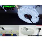 12v DC IP68 17W SMD5050 Flexible Led Strip Lights