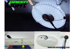 China 12v DC IP68 17W SMD5050 Flexible Led Strip Lights supplier
