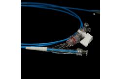 China Adjuvant Therapy Balloon Dilatation Catheters With Several Sizes supplier
