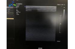 China  L12-3 Linear Array Ultrasound Transducer Probe Replace Strain Relief Crystal And Cable supplier
