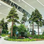 10m Height Artificial Yew Tree Fake Snow On Plants For Shopping Mall for sale