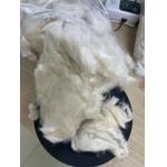 Strong and Durable Sustainable Kapok Fiber