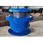 GGG50 Composite Exhaust Valve for Fluid Pipeline Systems