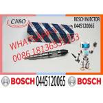 Common Rail Fuel Injector Diesel Injectors 04290988 0986435559 0445120065