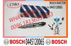 China Common Rail Fuel Injector Diesel Injectors 04290988 0986435559 0445120065 supplier