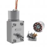 Faradyi High quality 12V DC Motor Low Speed High Torque Brushless Geared Motor for Smart Door Lock for sale