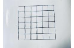 China 8x8 Welded Wire Mesh Hot Dipped And Electric Galvanized supplier
