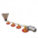 Automatic Feeder Chickens Odm Poultry Feed Line for sale