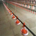 Full Set Drinker Line chicken farm building Automatic Poultry Nipple Drinking System For Chickens for sale