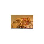LQ048Y3DH01 4.8 inch 800*480 LCD Display Panel for sale
