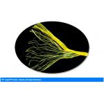 Agriculture Use 4KG PP Banana Twine With High Tenacity UV Additive for sale