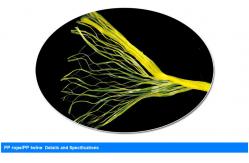 China Agriculture Use 4KG PP Banana Twine With High Tenacity UV Additive supplier