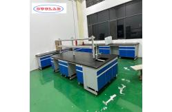 China Chemistry Lab Workbench with Drawing Specifications Handles Hooks Lights supplier