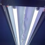 8000K Cold Light T8 Tube IP40 36W with Different Cover Design for sale
