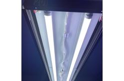 China 8000K Cold Light T8 Tube IP40 36W with Different Cover Design supplier
