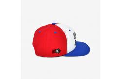 China Lightweight Flat Brim Snapback Hats With 6 Panels 3d Puff Embroidery Hat supplier
