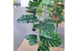 China Handmade Anti Uv Artificial Monstera Tree For Bathroom Decor supplier