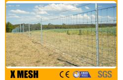 China ASTM A121 15cm Hinge Joint Fencing Wire Mesh Hot Dipped Galvanized supplier