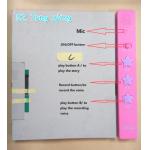 Automatic Recording And Playback Module For childrens sound books for Kids Learning for sale