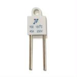 Square Type Squareness 20A 30A 40A Ceramic Temperature Fuse Thermal Fuse for sale