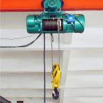 CE ISO 5T Bearing Electric Wire Rope Hoist 30m Pandant Control for sale