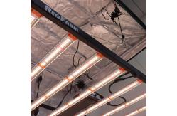 China 800W Full Spectrum LED Grow Lights For Indoor 4x4ft Hydroponics Garden supplier