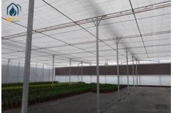 China Large Scale Hydroponics Multi Span Greenhouse For Modern Farmers supplier