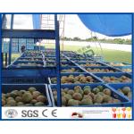 Fresh Pineapple / Mango Juice Processing Plant With Can Packaging Machine for sale