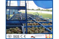 China 2TPH ~ 20TPH SUS304 Mango Processing Line With 2kg Cans Filling Machine supplier