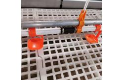 China Cheap Construction Steel Structure Building Poultry Farm Chicken House supplier
