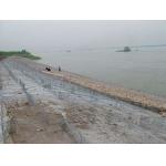 1/2 Hexagonal Wire Mesh Galvanadium Plated Flexible Structure Protective Cage