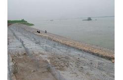 China 1/2 Hexagonal Wire Mesh Galvanadium Plated Flexible Structure Protective Cage supplier