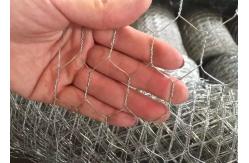 China Double Twisted Galvanized Hexagonal Wire Mesh For Poultry Farm supplier